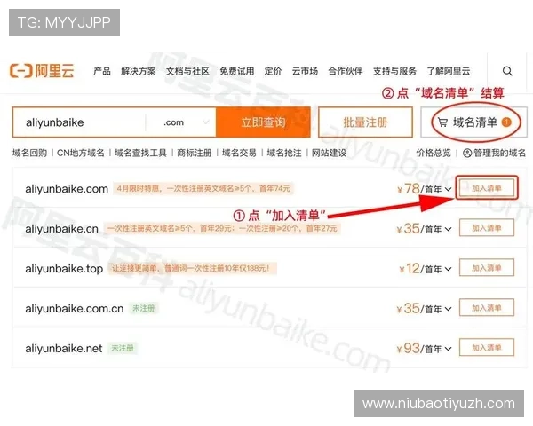开云体育域名购买流程详解让新手玩家轻松掌握域名注册技巧