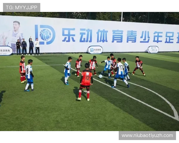 乐动体育官网入口网页版多平台兼容性与最佳使用体验指南